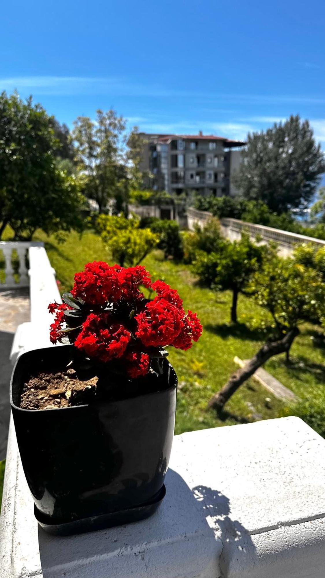 Villa Mare Vlorë Esterno foto